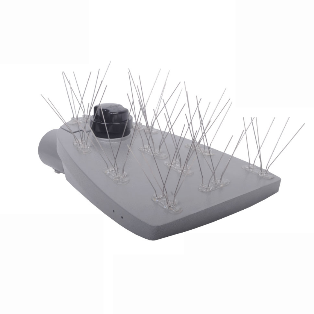 ANTI BIRD SPIKES - SET OF 10